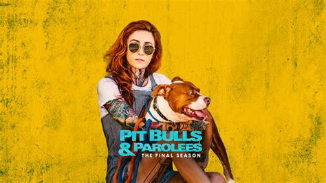 ‘Pit Bulls and Parolees’ to End With Season 19 